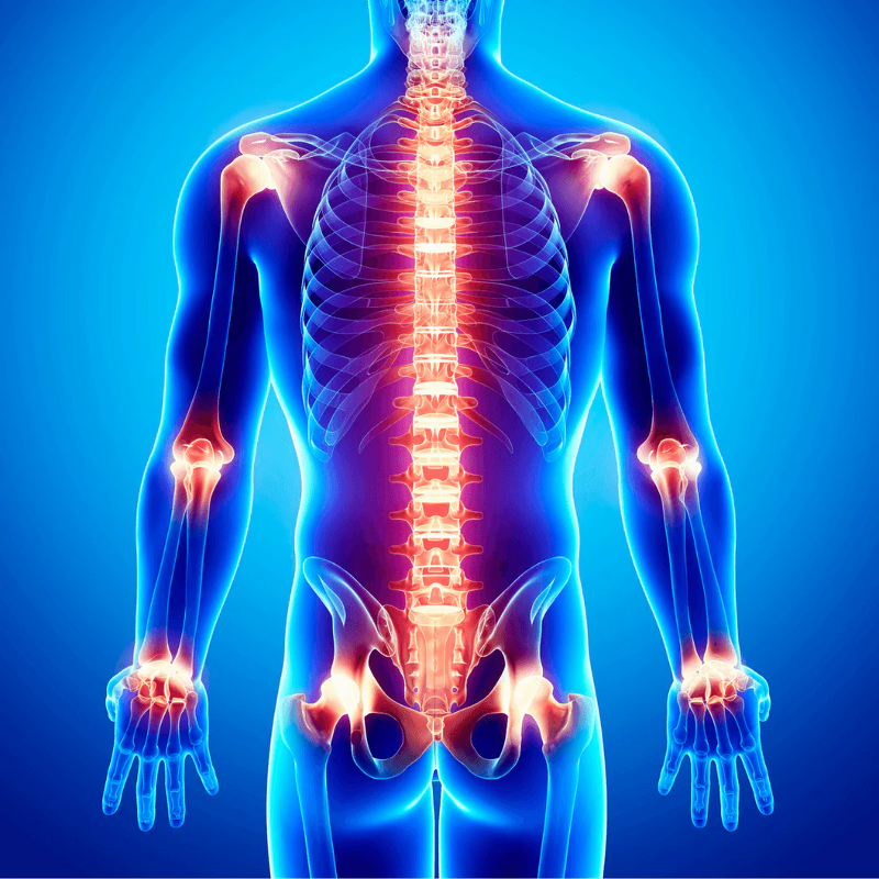 Therapy Belt Manufacturer - Multifunctional Infrared Heating PEMF Photon Negative Ions Crystal