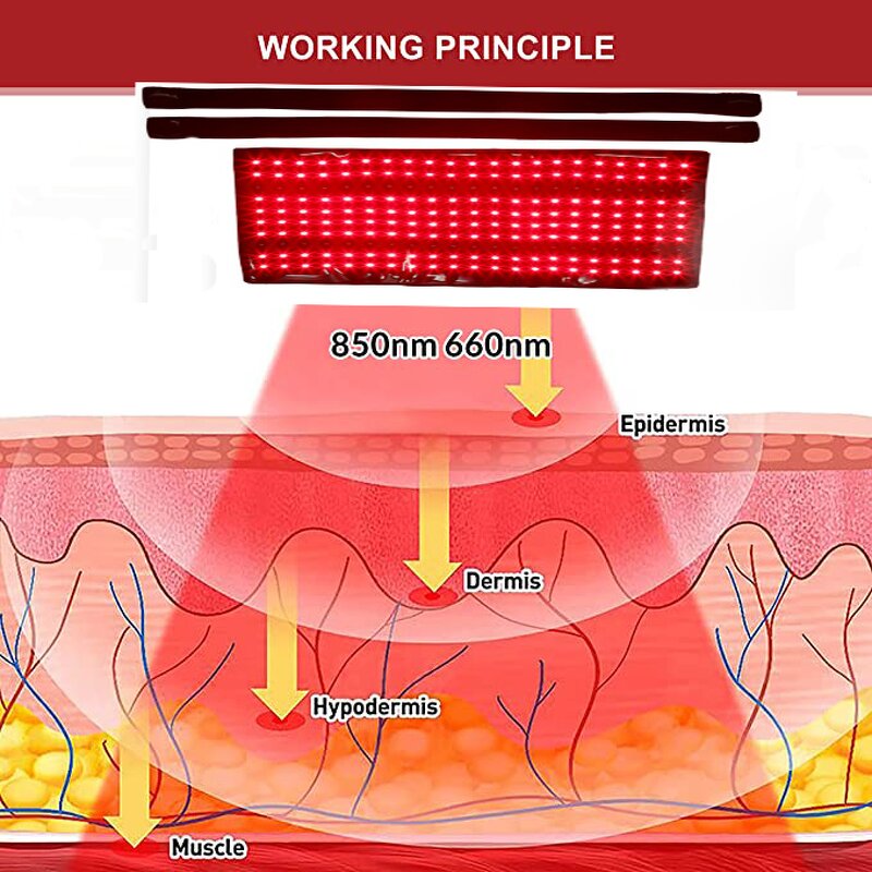 Red Light Therapy Belt Manufacturer - Large Wearable Wrap Pads 660nm 850nm Infrared for Back
