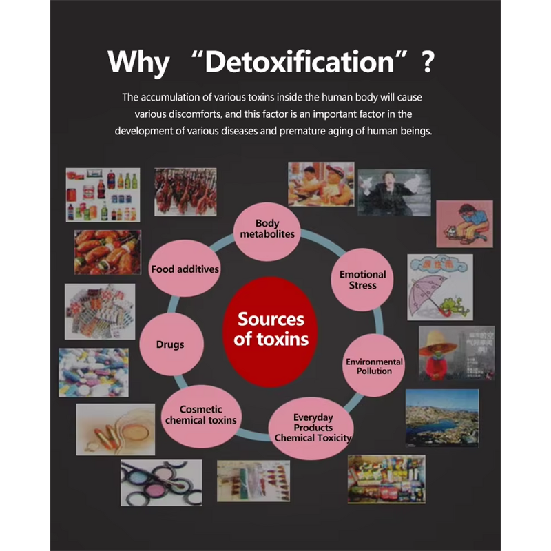 Ionic Foot Detox Machine - Professional Wholesale Portable Dual Ion Cleanse Spa Tool