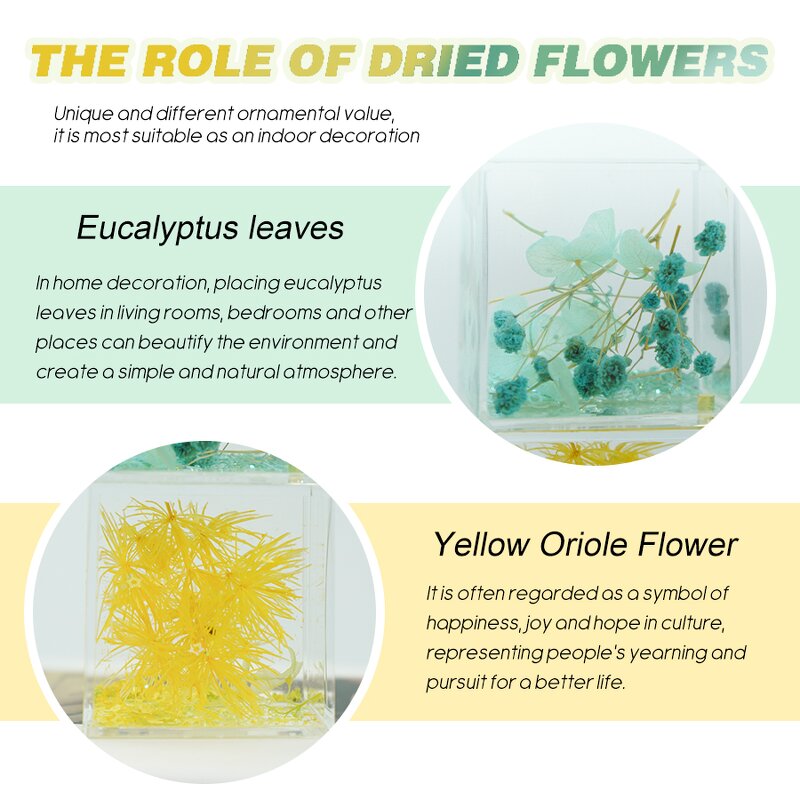 Resin Paperweight - Preserved Flower Cube Office Home Decor Novelty Craft Tool