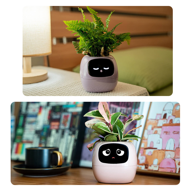 Resin Perfume Cap - Custom Design Shape Color Logo Premium Bottle Top Tool