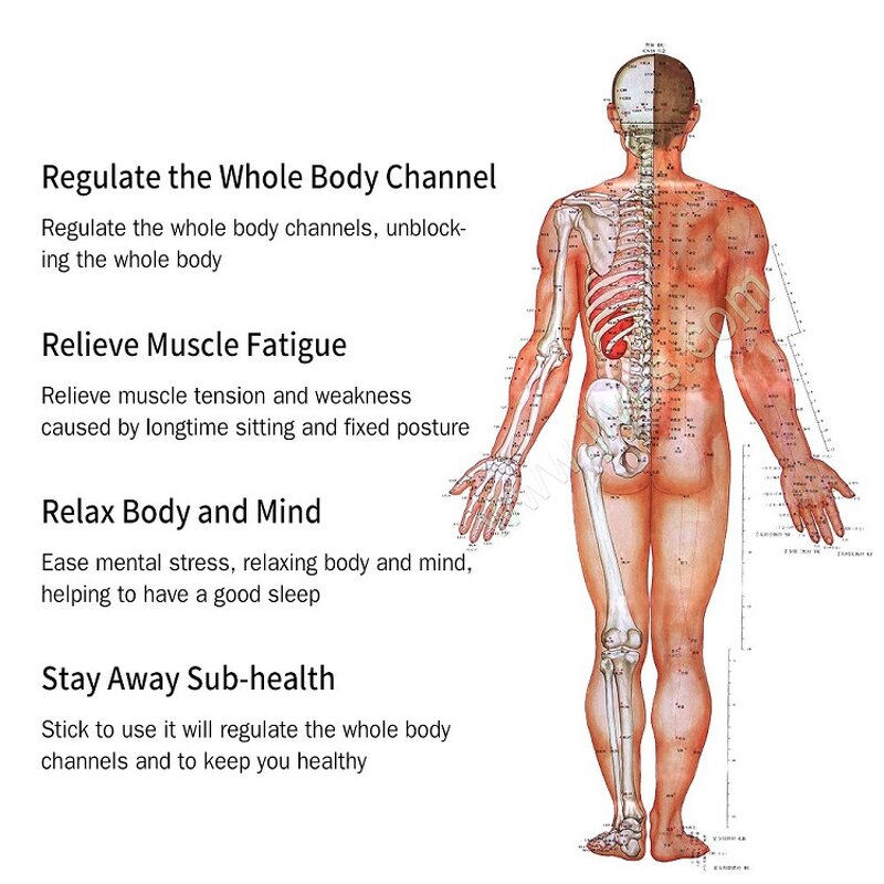 Meridian Massage Stick Manufacturer - With Magnetic Therapy Trigger Point for Lymphatic Drainage & Muscle Relaxation