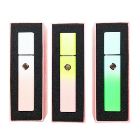 RF Beauty Device Manufacturer - HOME EMS Face Lifting Facial Mesotherapy Radio Frequency Red and Blue Colors EMS RF