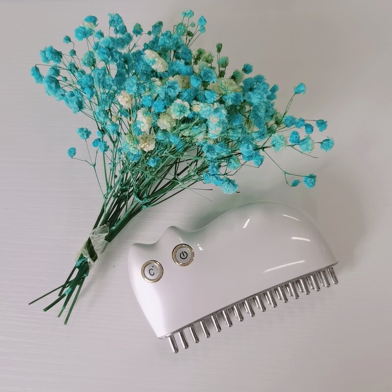 Thermal Scalp Hair Massage Comb Manufacturer - Custom Logo Beauty Supplies Mini Electric Heating Ems Gua Sha Hot