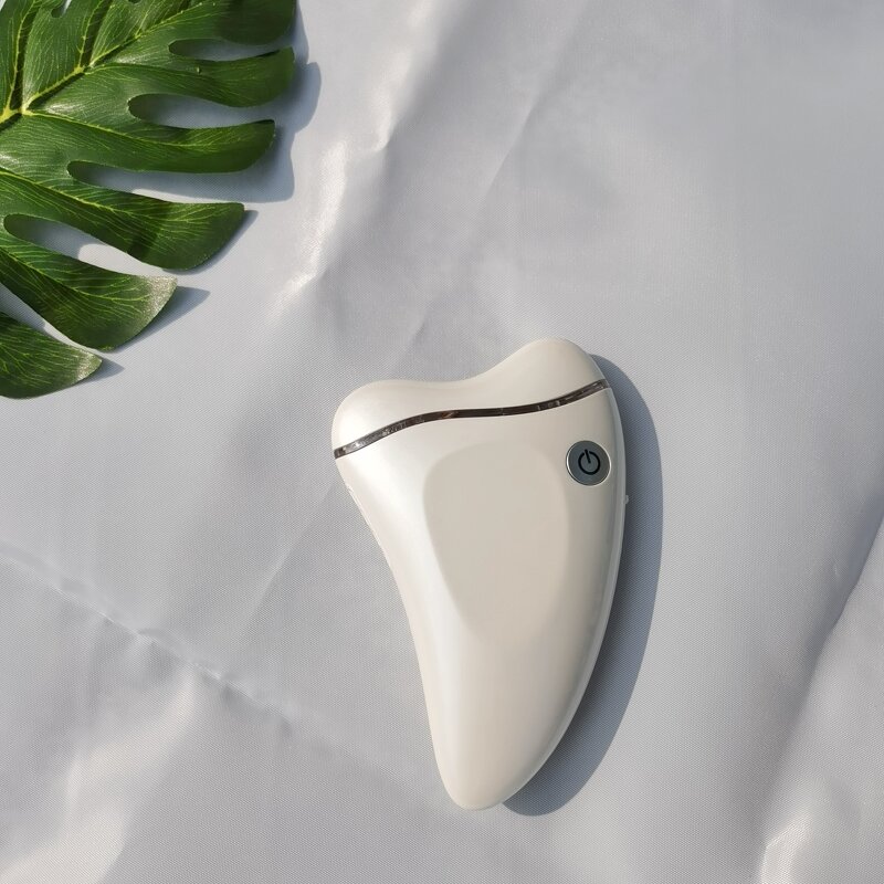 Skin Care Device Manufacturer - Home Newest Product 2023 Unique Handheld Rechargeable Anti Aging LED Photon Facial Massage