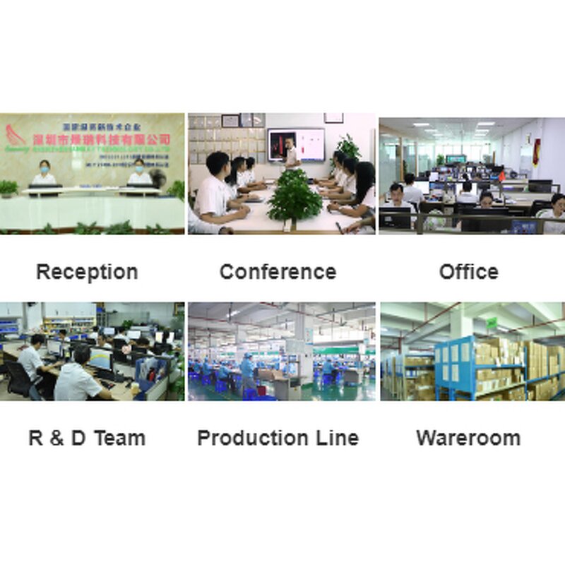 Scalp Hair Growth Comb Manufacturer - Home Use Plastic Handle Massage Brush Convenient Head Scalp Massager