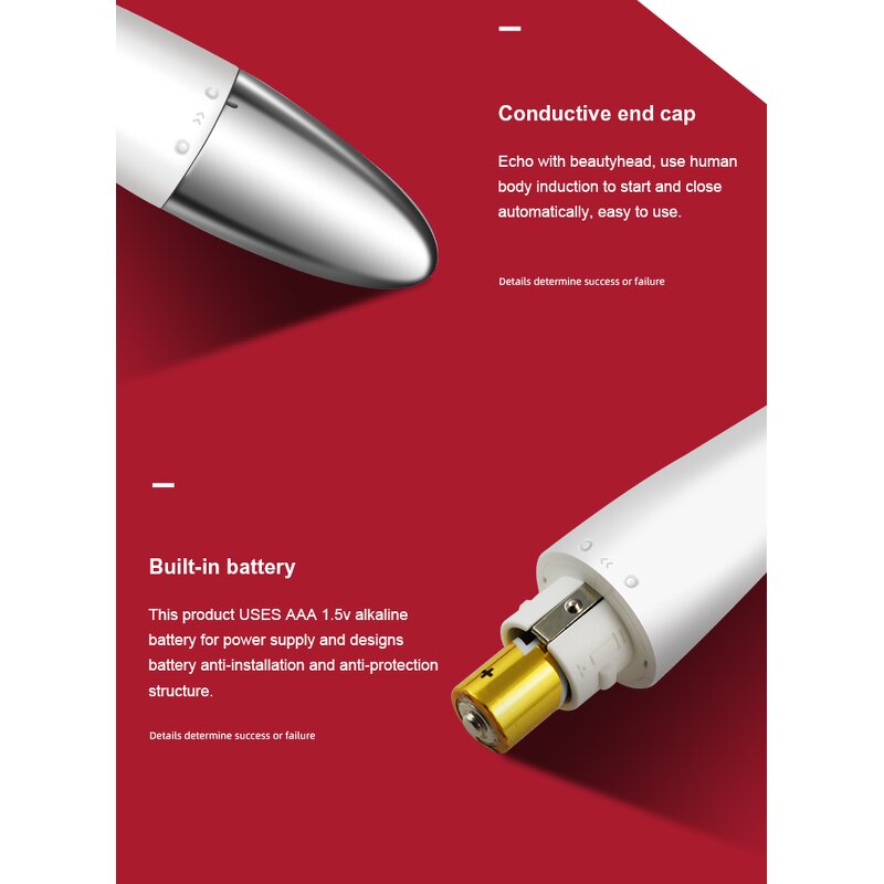 Electric Beauty Equipment Manufacturer - Imported Micro Vibrator Nutrition Facial Massage Tools with Skin Rejuvenation UK & US Plugs