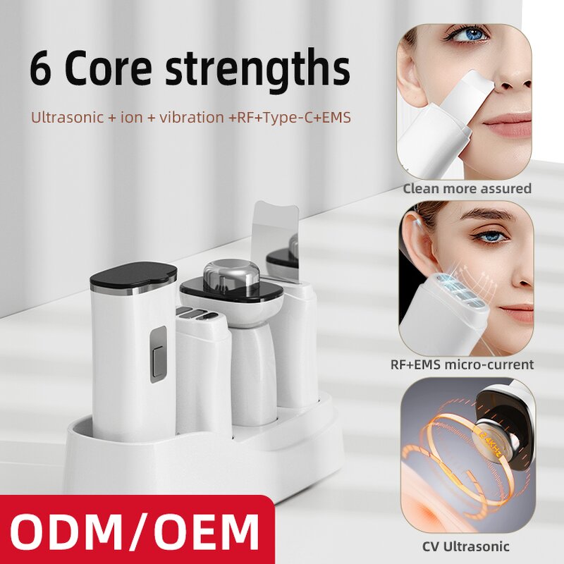 Skin Care Device Set Manufacturer - Beperfect High Quality Multifunctional for Home Use Beauty Equipment