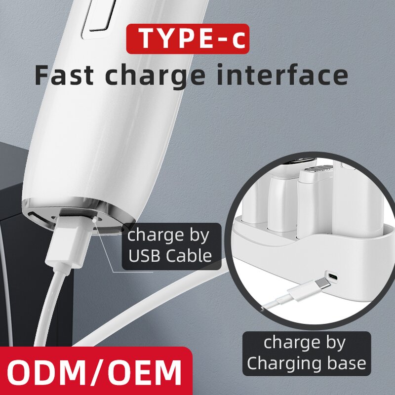 Skin Care Device Set Manufacturer - Beperfect High Quality Multifunctional for Home Use Beauty Equipment