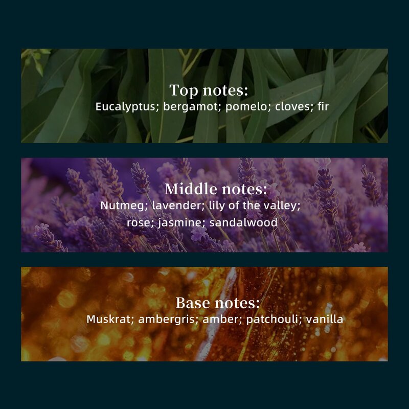 Dubai Pheromones Perfume - Hot Sale Popular Arabian Fragrance Cologne