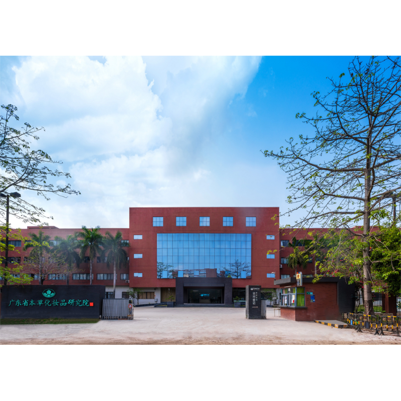 Korean Body Scrub - Tomato Kojic Turmeric Face Matcha Natural Scrub