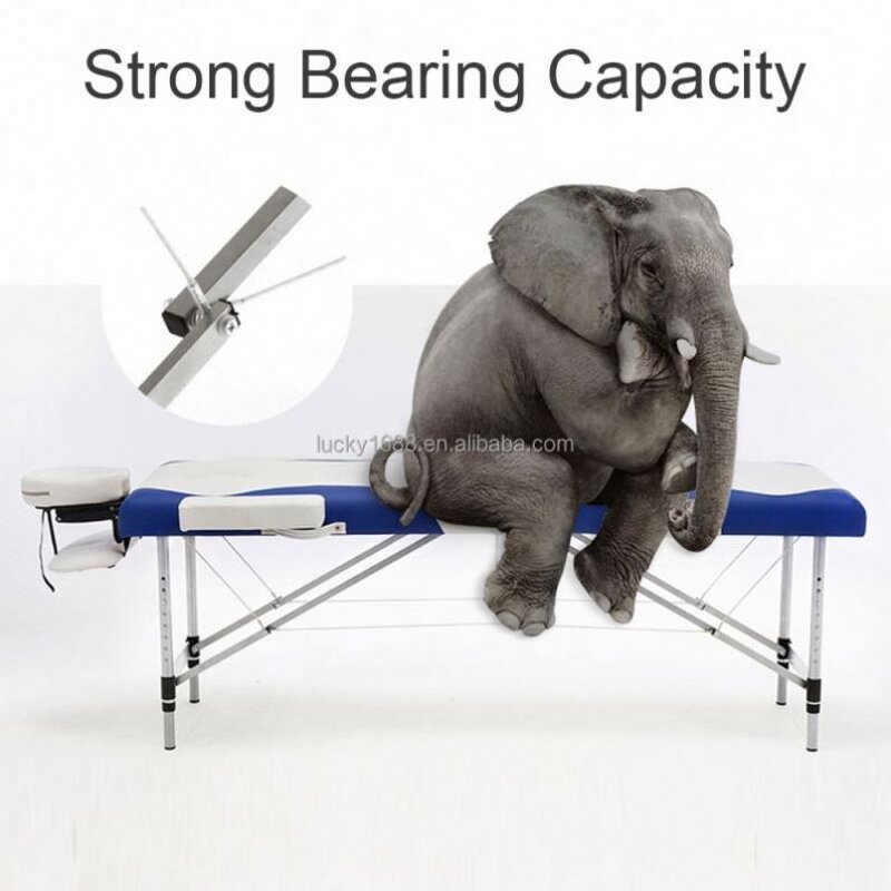 Foldable Beauty Massage Table - Thickened Steel Tube Portable Home Salon Bed