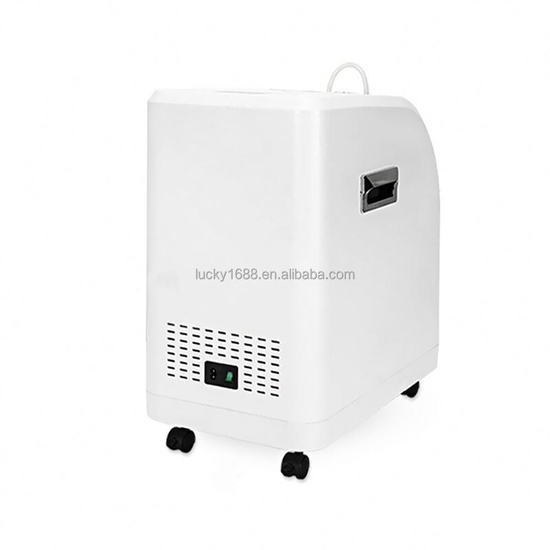 Quiet Medical Oxygen Concentrator - 5l Hypoxia Dual Flow Supply for Elderly