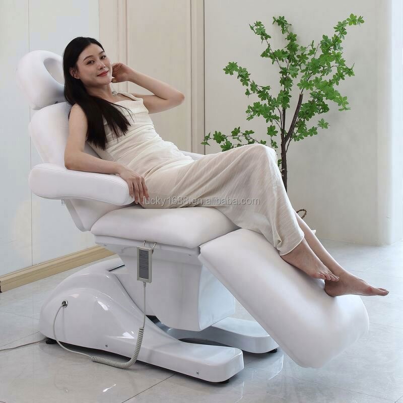 Electrical Facial Treatment Bed - Hot Sale 3 Motors Esthetician Spa Massage Bed