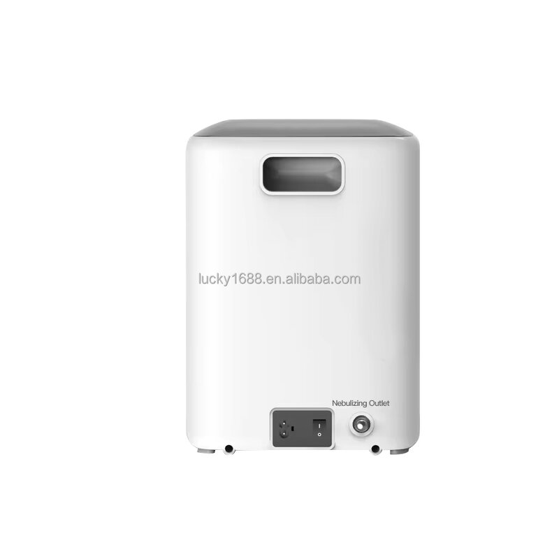 Adjustable Oxygen Generator - Manufacturer Cheap 1-7 Lpm Concentrator Home Use