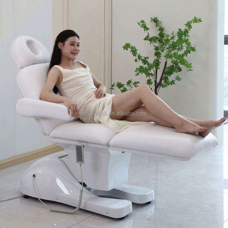 Electrical Facial Treatment Bed - Hot Sale 3 Motors Esthetician Spa Massage Bed