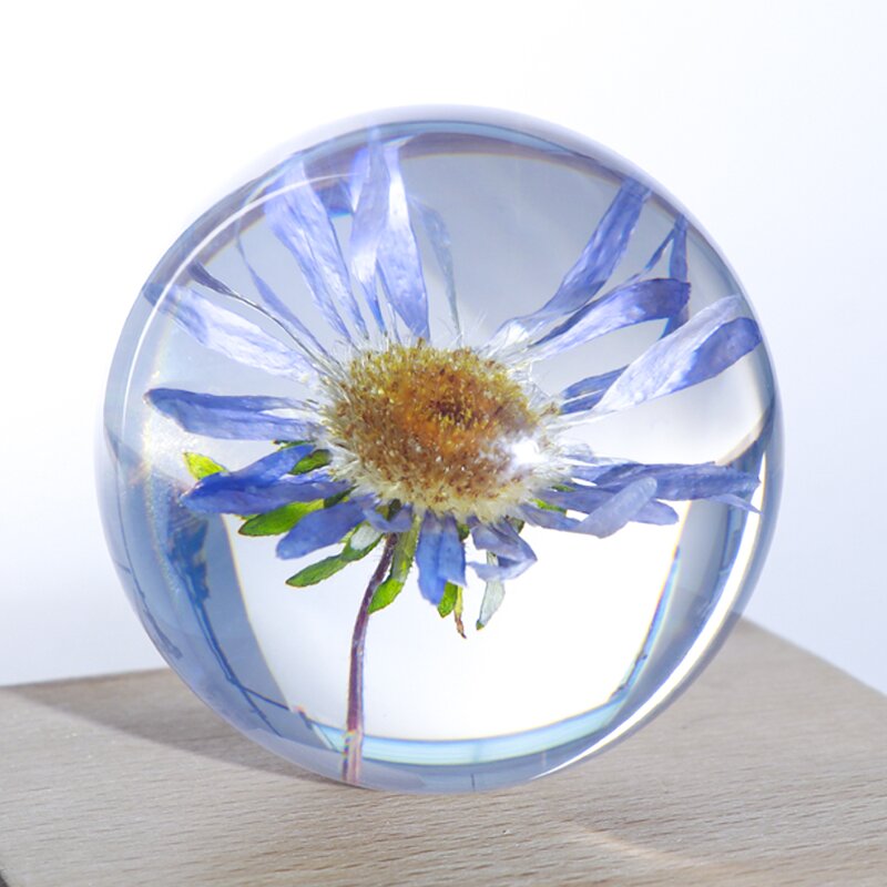 Resin Paperweight - Custom Craft Clear Embedded 3D Mosquito Dried Flower