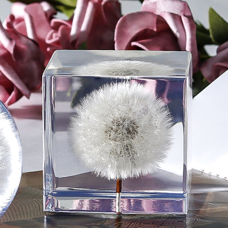 Acrylic Resin Paperweight - Unique 3d Flower Real Dandelion Cube Gift