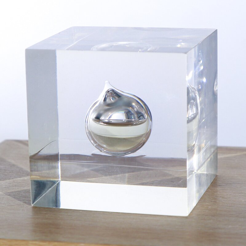 Square Flower Paperweight - Custom 7-9cm Resin Sphere Real Dandelion Cube