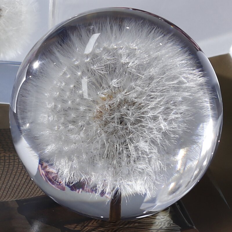 Square Resin Paperweight - Custom 7-9cm Natural Flower Real Dandelion Cube