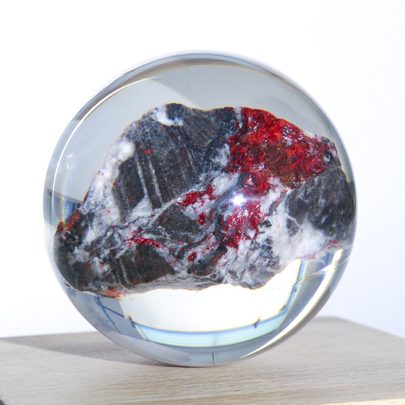 Resin Paperweight - Custom Craft Clear Embedded 3D Mosquito Dried Flower