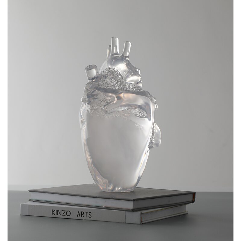 Resin Heart Model - Transparent 3D Anatomical Human Medical Display Tool