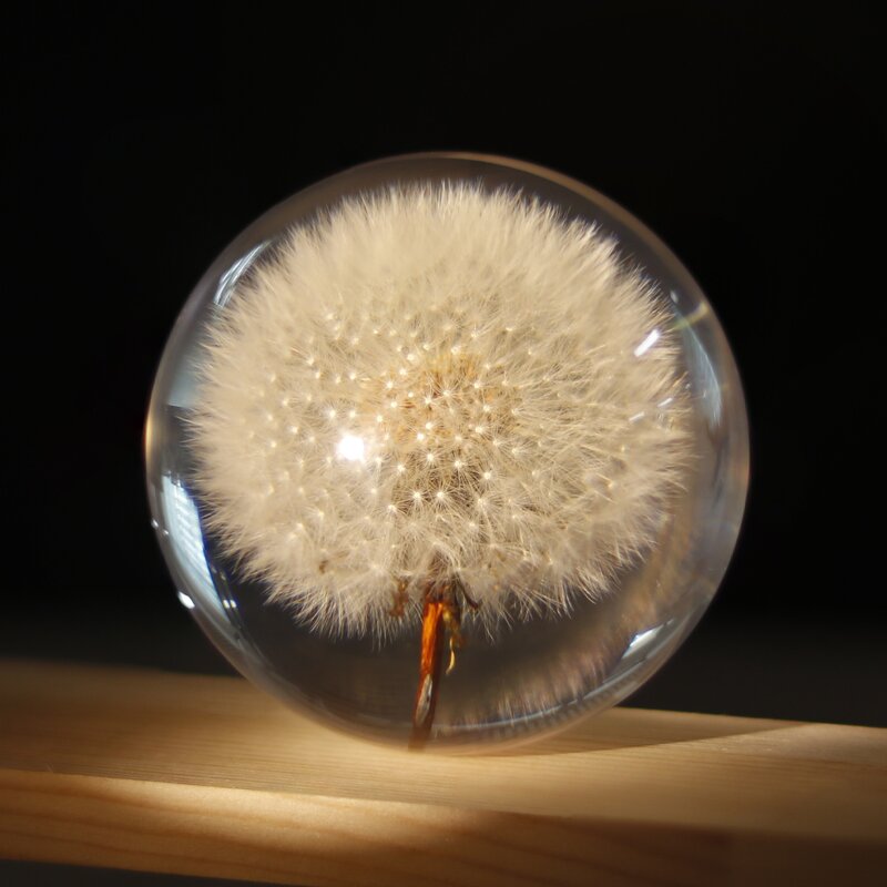 Resin Cube Paperweight - Natural Flower Real Dandelion Sunflower Christmas