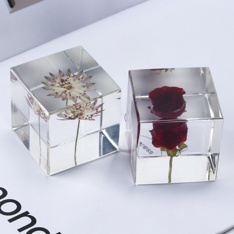 Resin Oil Drop Paperweight - Real Scorpion Cube Crystal Dandelion Flower