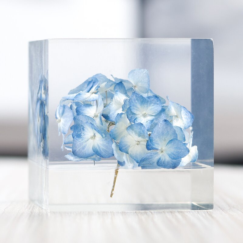 Dried Flower Resin Cube - Custom Specimen Real Insect Collection Paperweight