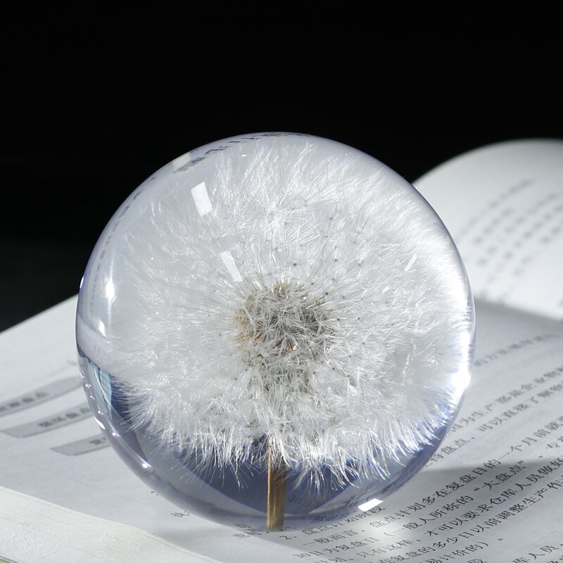 Square Resin Paperweight - Custom 7-9cm Natural Flower Real Dandelion Cube