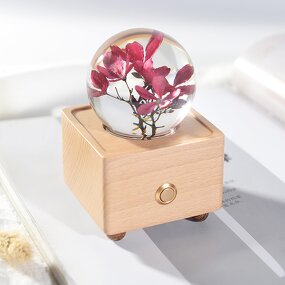 Wireless Music Box - Portable Resin Crystal Ball Dry Flowers Night Light