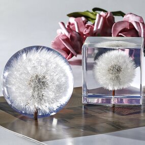Square Resin Paperweight - Custom 7-9cm Natural Flower Real Dandelion Cube