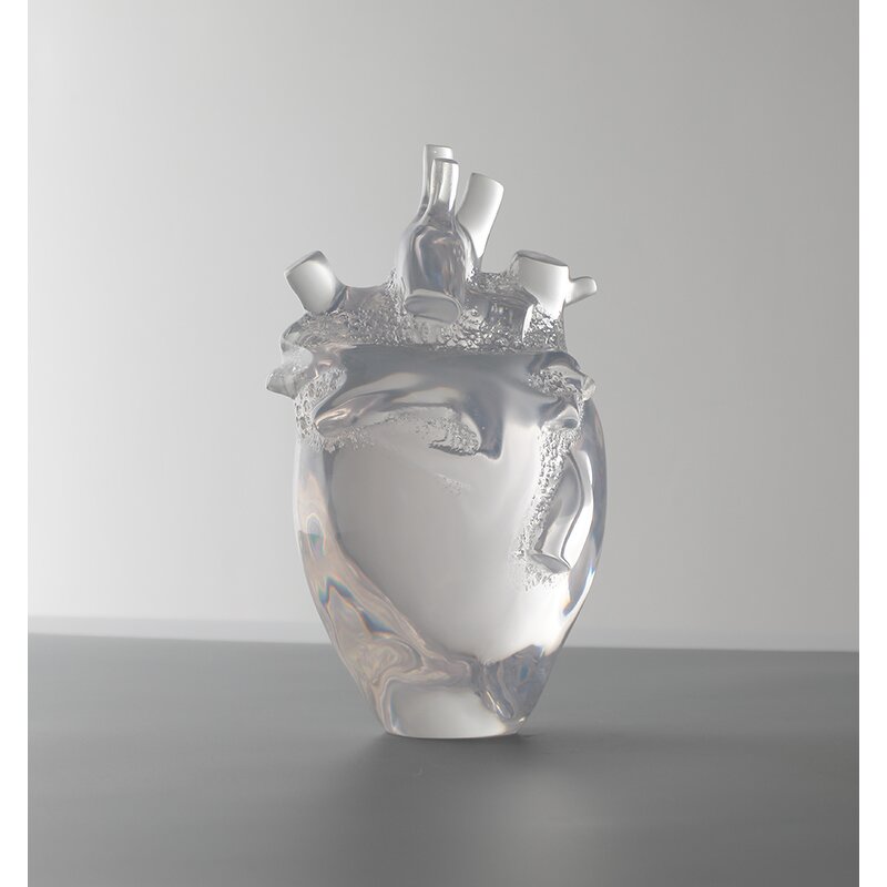 Resin Heart Model - Transparent 3D Anatomical Human Medical Display Tool