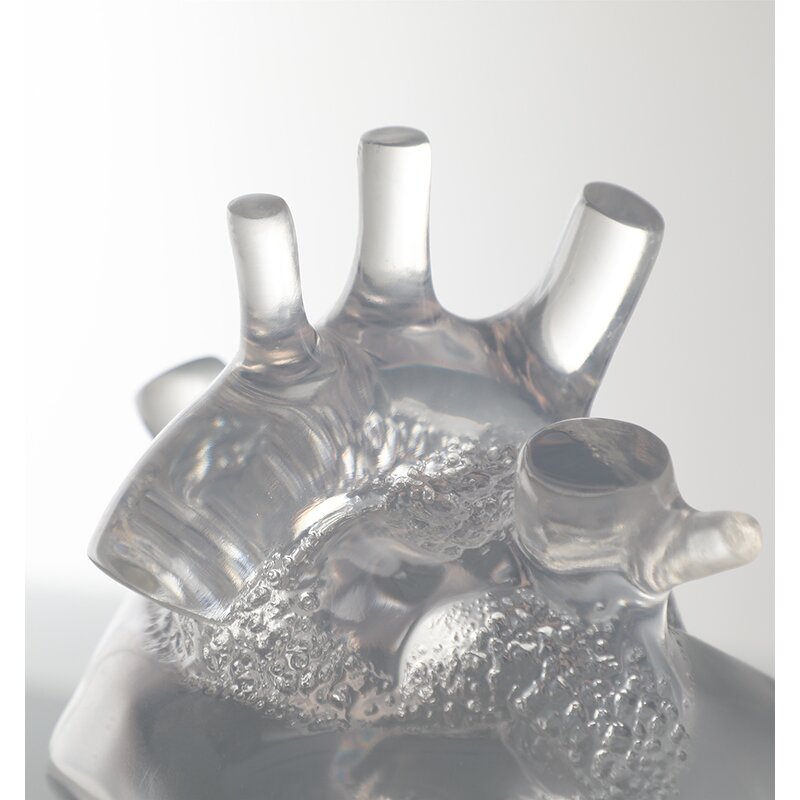 Resin Heart Model - Transparent 3D Anatomical Human Medical Display Tool