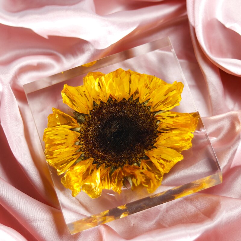 Resin Cube Paperweight - Natural Flower Real Dandelion Sunflower Christmas