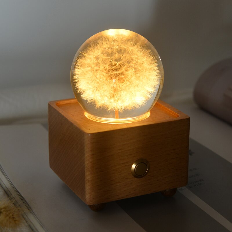 Wireless Music Box - Portable Resin Crystal Ball Dry Flowers Night Light