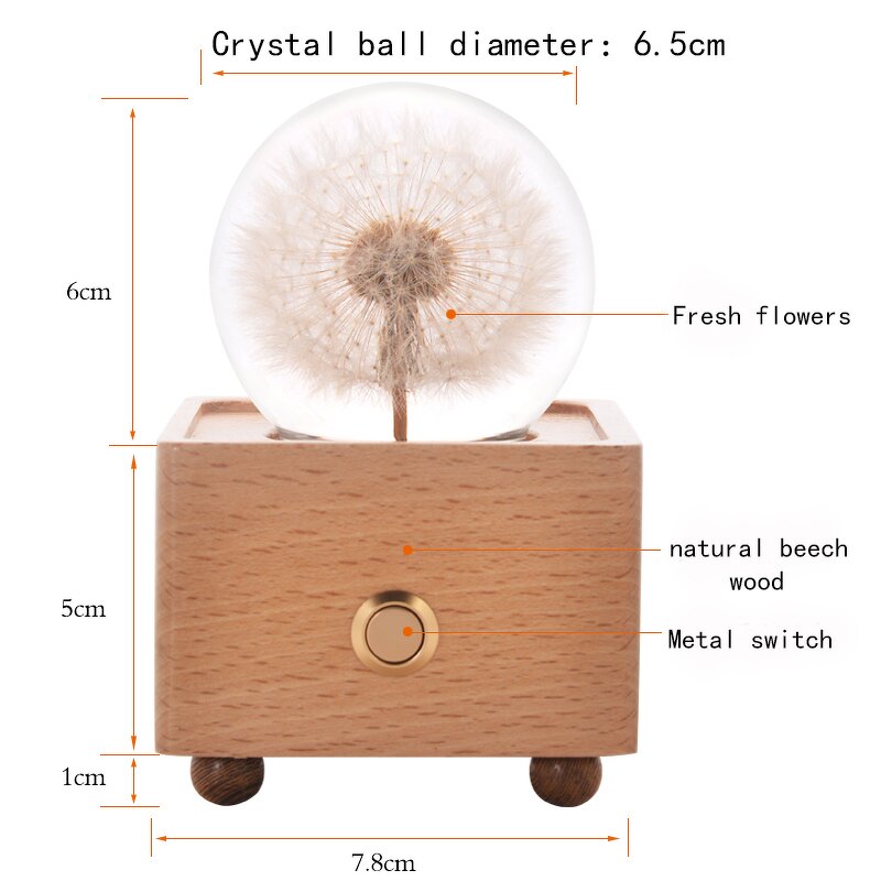 Wireless Music Box - Portable Resin Crystal Ball Dry Flowers Night Light