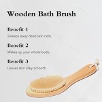 Body Brush