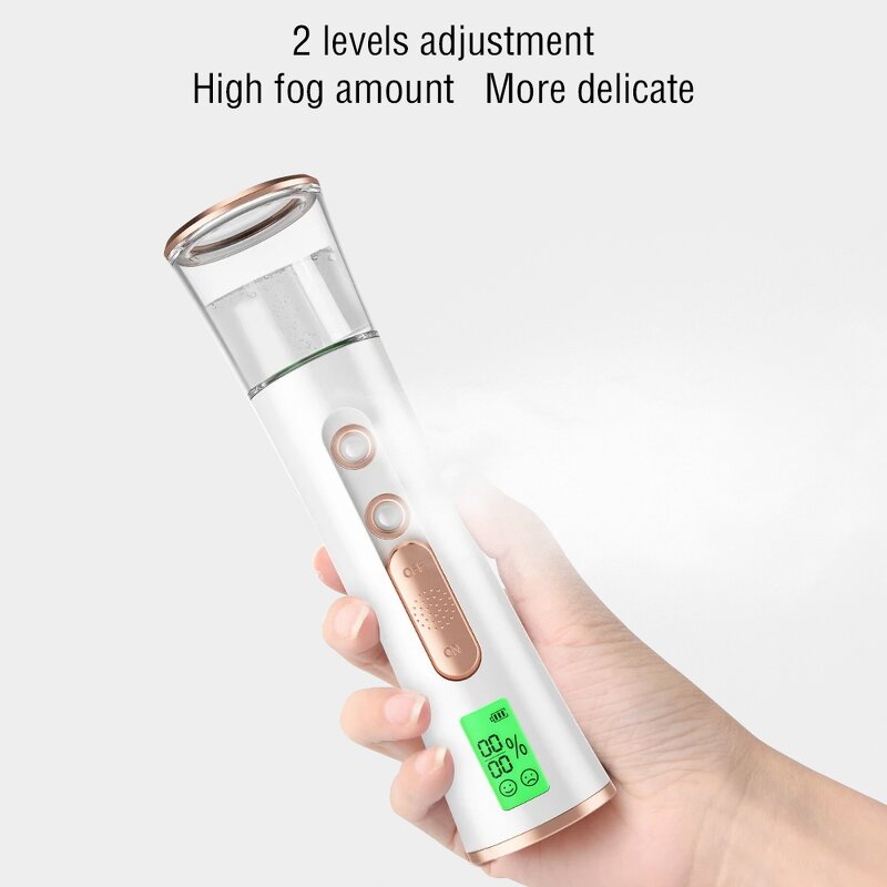 Nano Mist Sprayer Manufacturer - Double Spray Port with 30ml Visual Tank