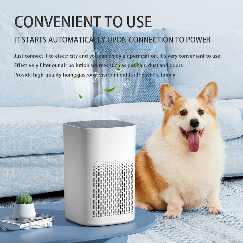 Desktop HEPA Purifier - Dual Purification Formaldehyde Odor Dust Removal