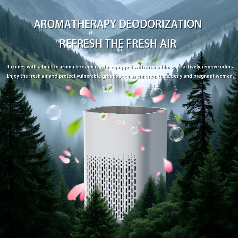 Dual Purification Machine - HEPA Filter Odor Secondhand Smoke Removal Plastic