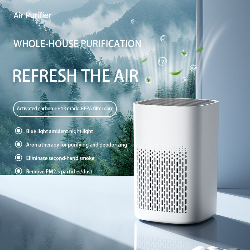 Dual Purification Machine - HEPA Filter Odor Secondhand Smoke Removal Plastic