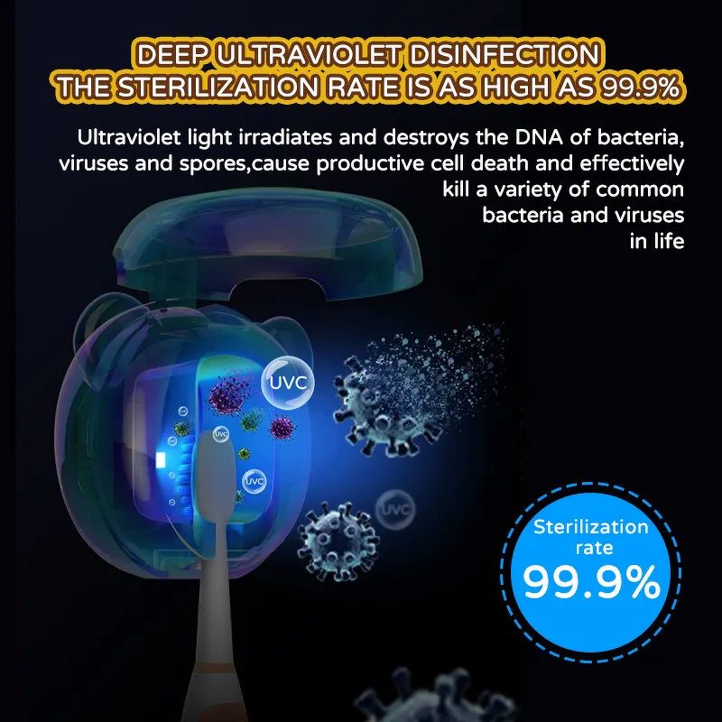 UV Toothbrush Sterilizer - First Piece Special Price Holder Children Oral Care Tool