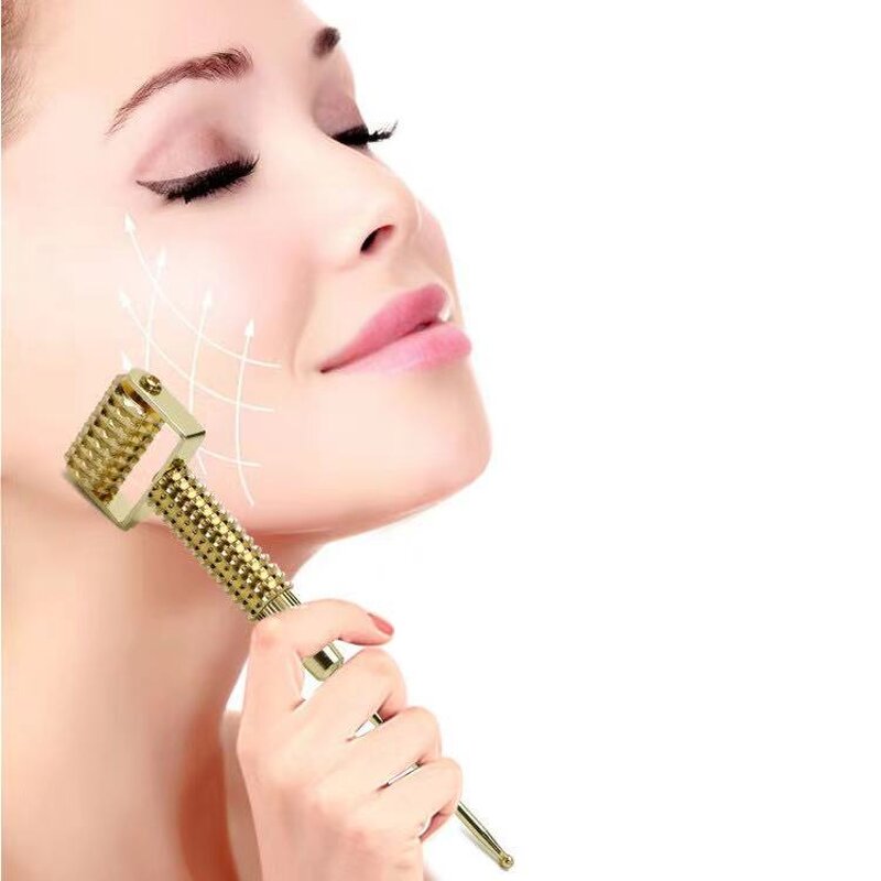 Metal Derma Roller - Home Use Face Facial Skin Massage Roller Beauty Equipment