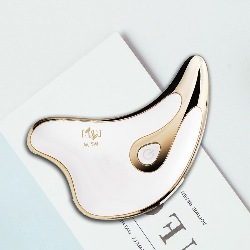 Ionic Galvanic Face Device - 808 China Microcurrent LED Indicator Plastic Hand Targeting