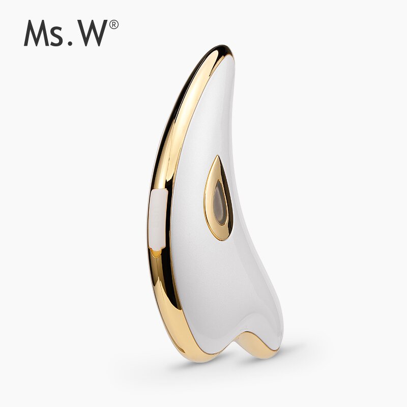 Ionic Galvanic Face Device - 808 China Microcurrent LED Indicator Plastic Hand Targeting