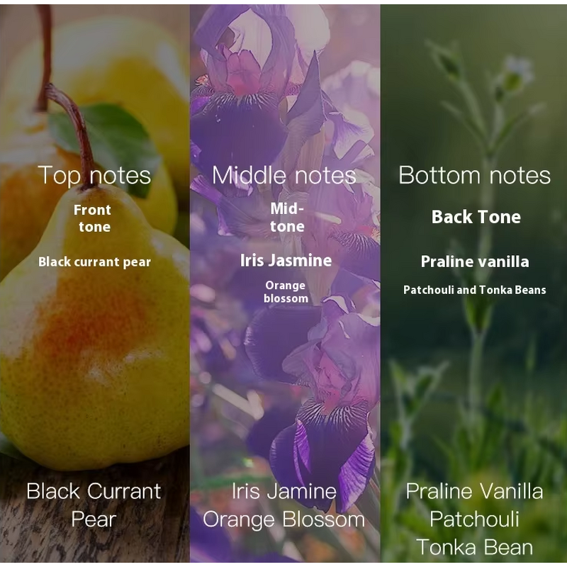 Victoria Women's Body Spray - Manufacturer - 250ML Fragrance Bodymist Wholesale High Quality