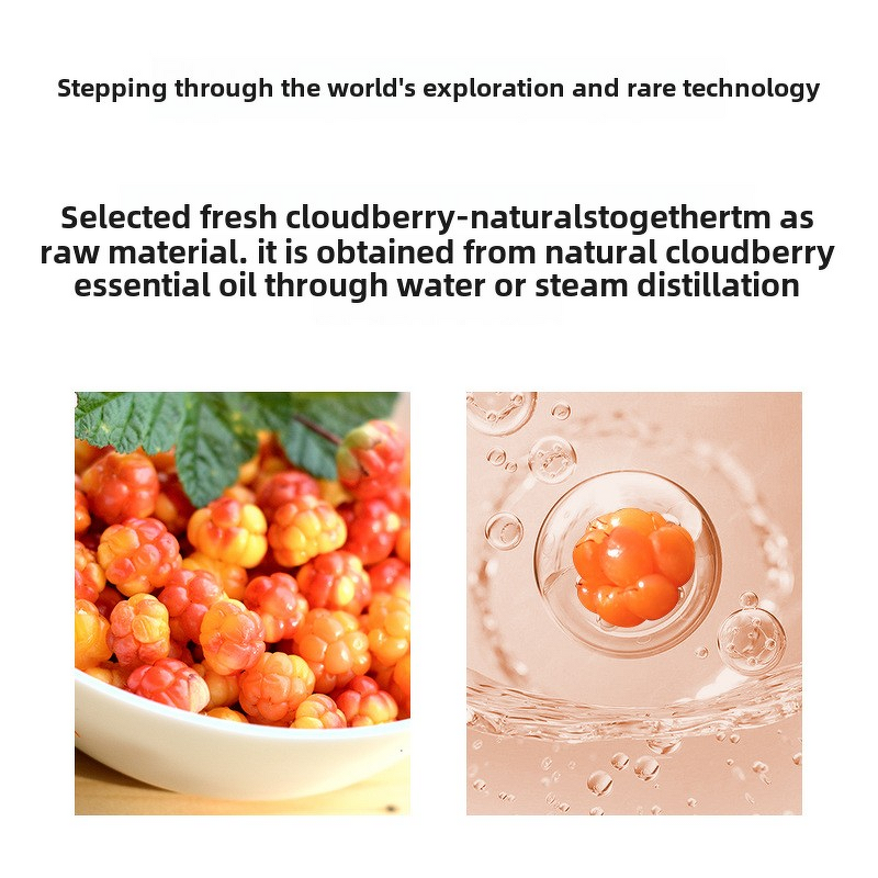 Women's Eau De Toilette - Manufacturer - 120ml Floral Fragrance Customizable Wholesale