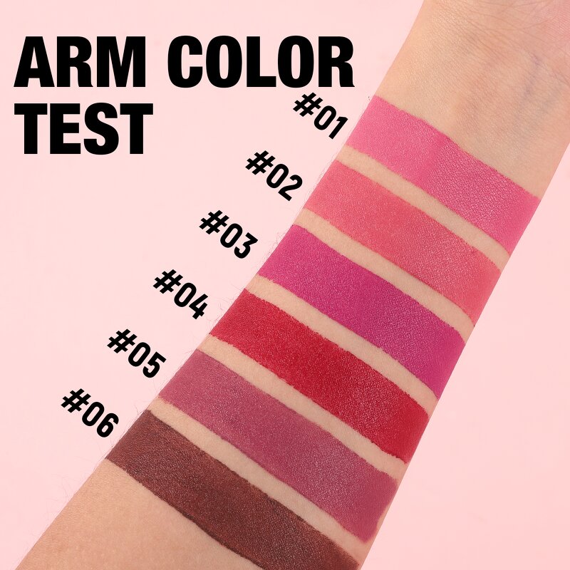 Lipstick Manufacturer - Wholesale Custom Branded 6 Color Waterproof Silky Matte
