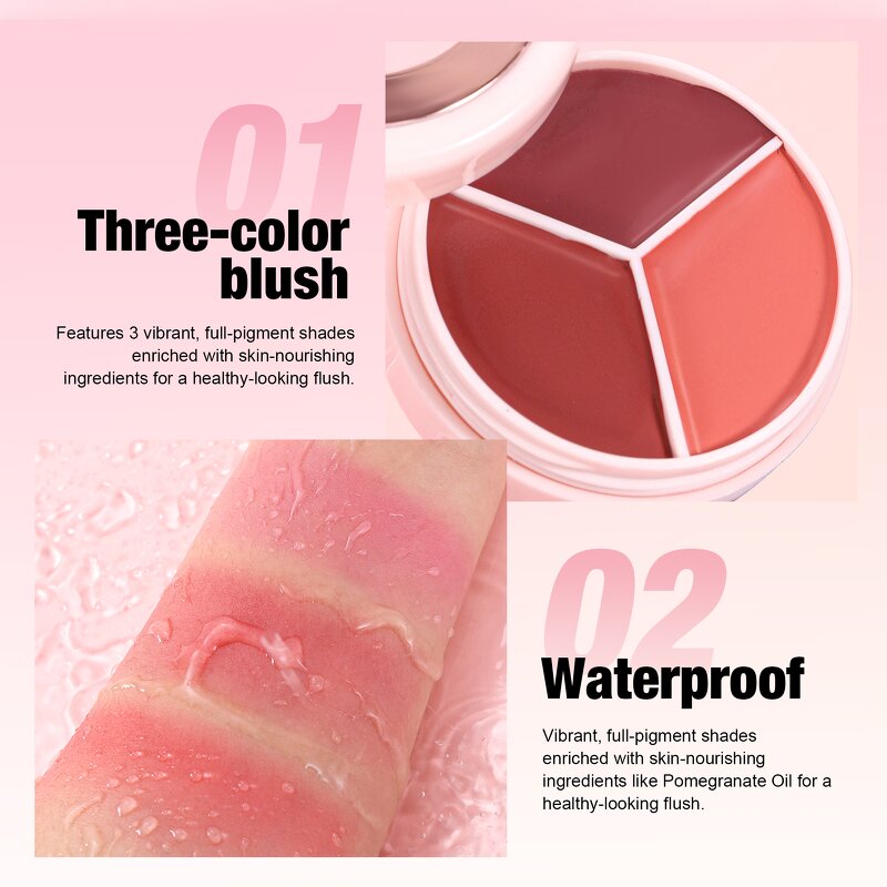 Highlighter Manufacturer - HANDAIYAN Four-color Matte 2 in 1 Blush High-Pigment